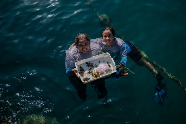 Duas mulheres na água seguram uma bandeja com algas, na Reserva Extrativista Marinha de Arraial do Cabo (RJ)